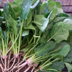 Spinach