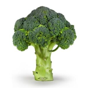 Broccoli