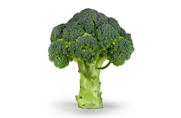 Broccoli