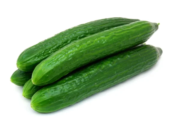 Cucumber