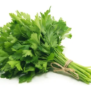 Fresh Parsley Bunch