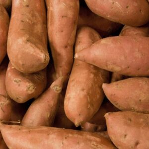 Organic Sweet Potatoes