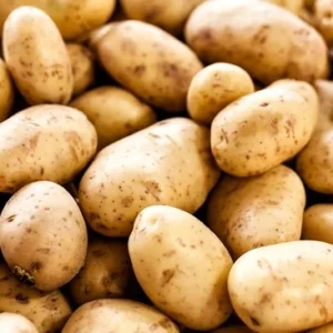 Potato