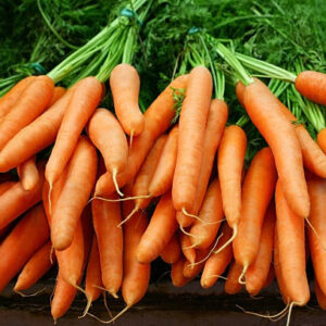 Organic Carrot Bundle