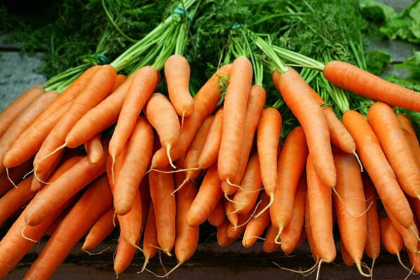 Organic Carrot Bundle