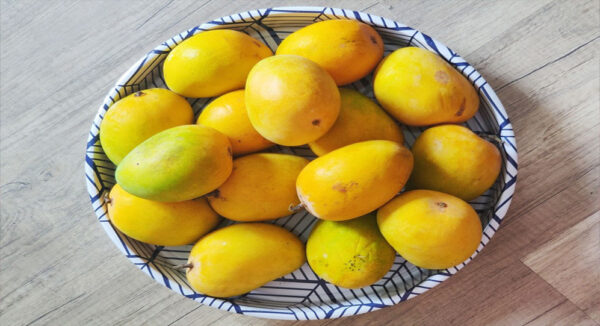 Mango