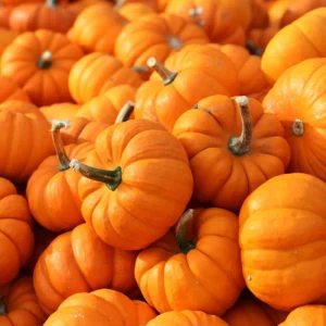 Pumpkin